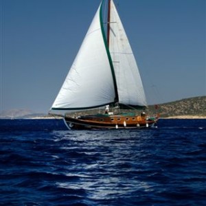 MY_album_2 MY_album_2