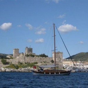 MY_album_5 MY_album_5