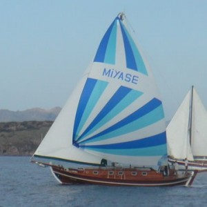 MY_album_6 MY_album_6