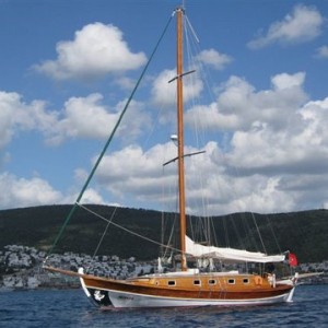 MY_album_8 MY_album_8