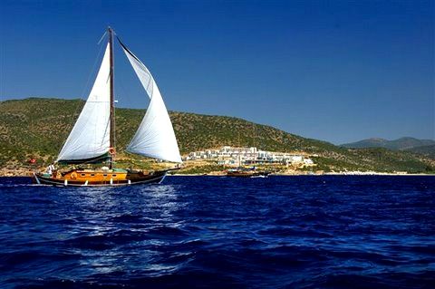 MY_pages_1 MY_pages_1