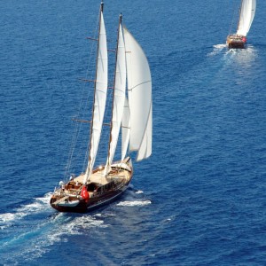 The-pursuit3 The-pursuit3